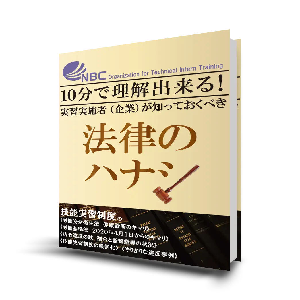 【ebook:実習実施者が知っておくべき法律のハナシ】