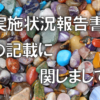 実施状況報告書の記載に関しまして