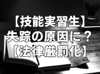 【技能実習生】失踪の原因に？【法律厳罰化】