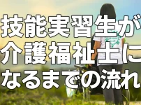 技能実習生が介護福祉士になるまでの流れ