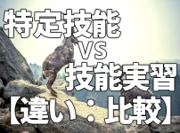 特定技能VS技能実習【違い:比較】