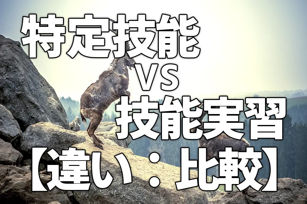 特定技能VS技能実習【違い:比較】