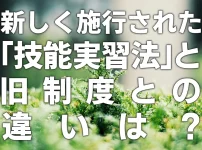 新しく施行された「技能実習法」と旧制度との違いは？