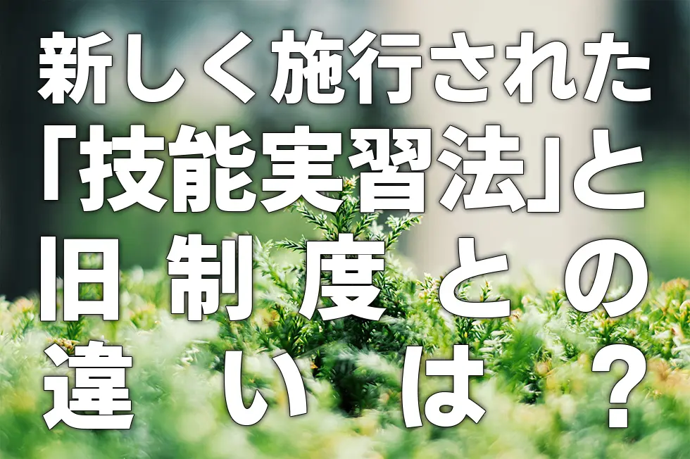 新しく施行された「技能実習法」と旧制度との違いは？