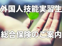 外国人技能実習生総合保険のご案内