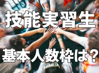 技能実習生は何名受入れ可能？【基本人数枠】