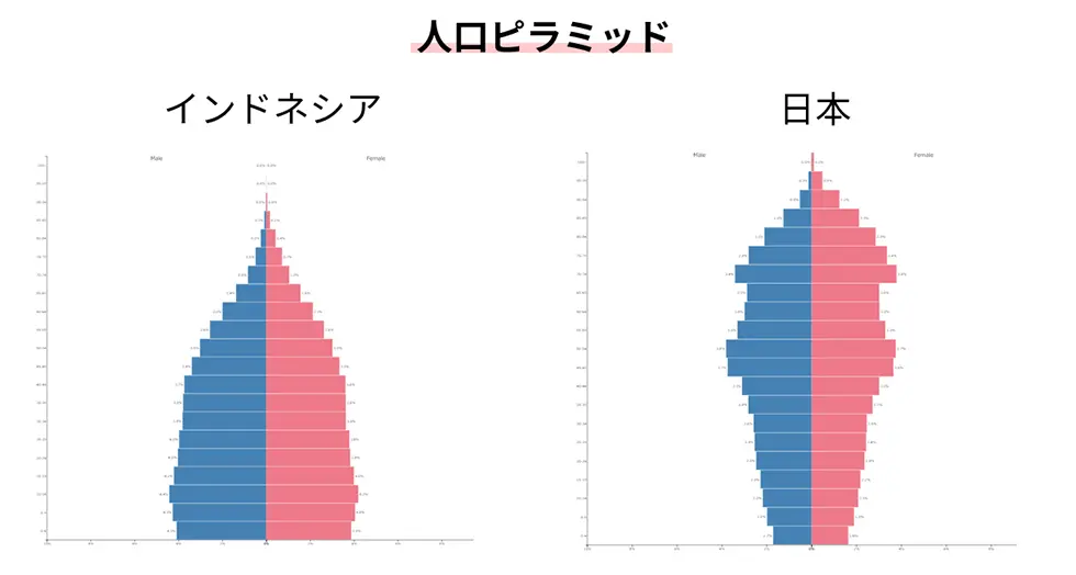 インドネシア人口ピラミッド