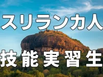 スリランカ人技能実習生について詳しく解説