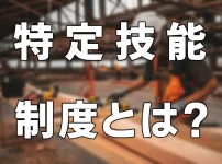 特定技能制度とは